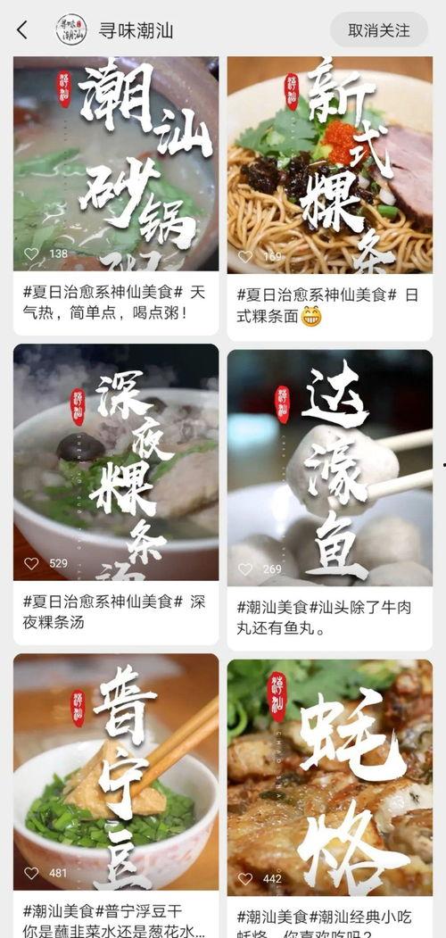 潮汕爆料大王视频,潮汕地区热点事件深度剖析