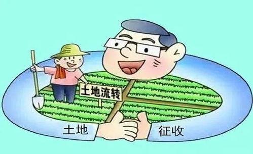 农村纠纷爆料案例最新版,邻里矛盾升级,法律维权之路探析 第2张 农村纠纷爆料案例最新版,邻里矛盾升级,法律维权之路探析 第2张