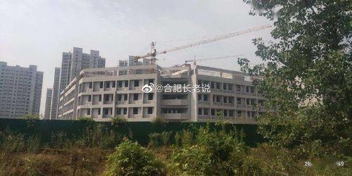 清江中学爆料新闻最新,揭秘校园重大事件背后的真相