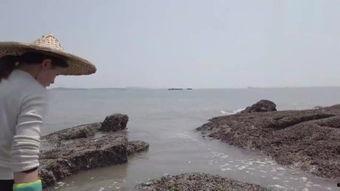 海滩 在线观看,畅游视觉盛宴