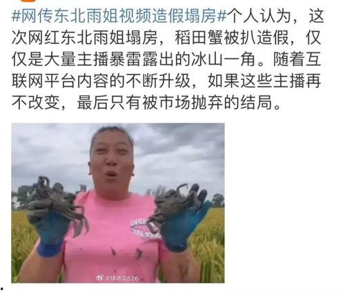 小肥仔被爆料家暴视频,真相与反思 第1张 小肥仔被爆料家暴视频,真相与反思 第1张