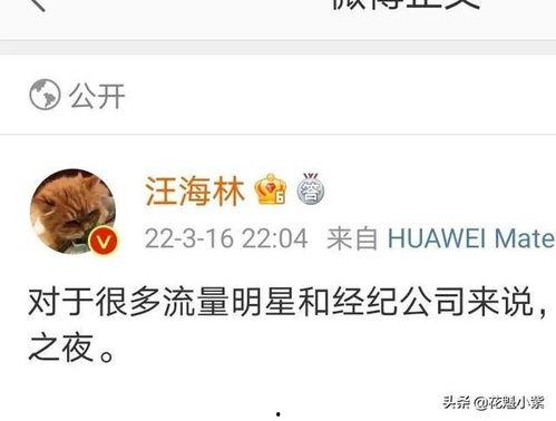 汪海林大爆料娱乐圈,重磅爆料,内幕大公开 第3张 汪海林大爆料娱乐圈,重磅爆料,内幕大公开 第3张