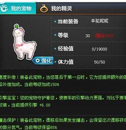 飞车宠物强化最新爆料,实力升级,战力飙升! 第3张 飞车宠物强化最新爆料,实力升级,战力飙升! 第3张