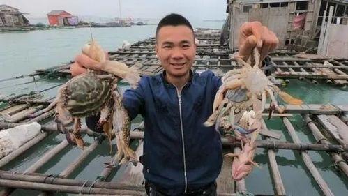 赶海爆料视频,揭秘海洋宝藏的神秘之旅 第2张 赶海爆料视频,揭秘海洋宝藏的神秘之旅 第2张