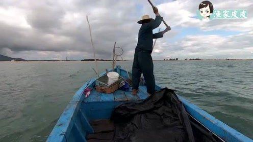 赶海爆料视频,揭秘海洋宝藏的神秘之旅 第3张 赶海爆料视频,揭秘海洋宝藏的神秘之旅 第3张
