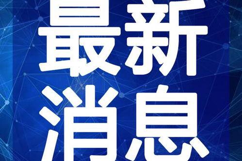 苗阜小强最新爆料视频,娱乐圈幕后真相大曝光！