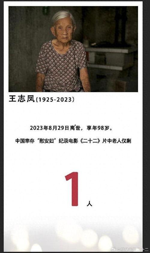 二十二记录片在线观看,二十二纪录片深度解读 第1张 二十二记录片在线观看,二十二纪录片深度解读 第1张