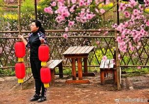 独家爆料 平乐下村视频,视频带你领略乡村魅力