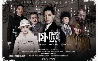 卧底2015在线观看,潜入黑暗，揭秘犯罪世界的惊心动魄
