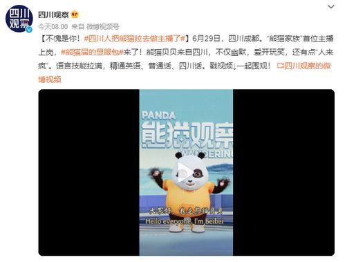 熊猫家族成员爆料视频,独家爆料视频大公开 第2张 熊猫家族成员爆料视频,独家爆料视频大公开 第2张