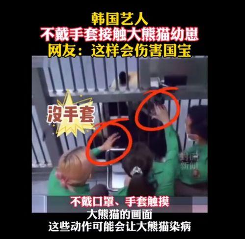 过气韩女团综艺爆料视频,综艺爆料视频曝光惊人内幕 第3张 过气韩女团综艺爆料视频,综艺爆料视频曝光惊人内幕 第3张
