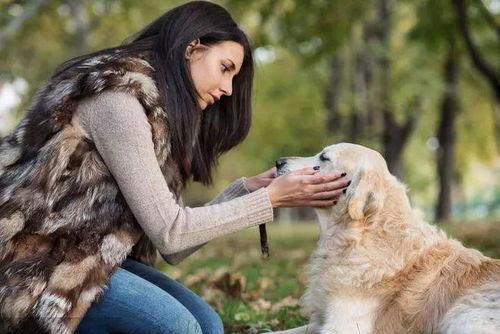 女人与狗在线观看,情感交织的温馨故事 第2张 女人与狗在线观看,情感交织的温馨故事 第2张