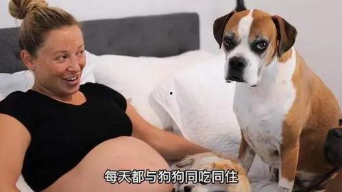 女人与狗在线观看,情感交织的温馨故事 第3张 女人与狗在线观看,情感交织的温馨故事 第3张