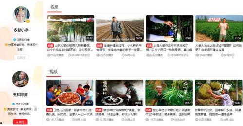 搜索爆料三农的视频,探寻农村发展新篇章 第2张 搜索爆料三农的视频,探寻农村发展新篇章 第2张