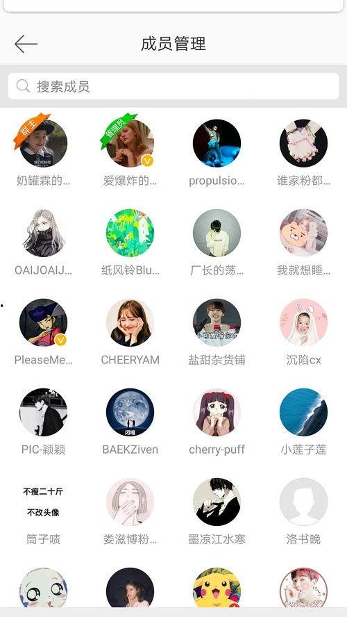 吃瓜q群免费,免费畅享娱乐盛宴的神秘世界