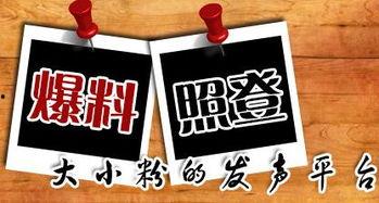 新闻举报爆料平台,新闻举报爆料平台助力真相大白