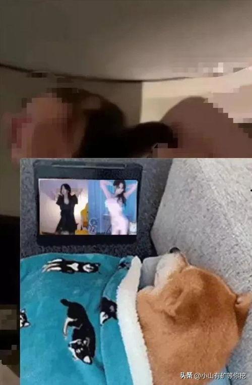 小伙子爆料唐山视频大全,小伙子爆料揭示惊人真相 第2张 小伙子爆料唐山视频大全,小伙子爆料揭示惊人真相 第2张