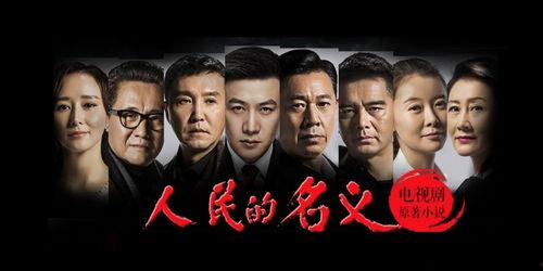 人民民义在线观看,深度解析新时代民主法治进程  第3张