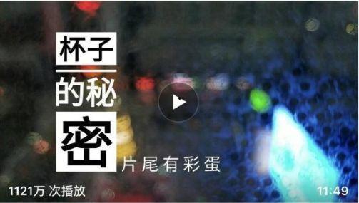 止水全新爆料视频大全集,揭秘幕后真相与精彩瞬间  第2张