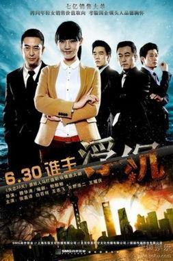 电视剧沉浮在线观看,权谋与情感交织的官场风云