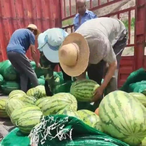 盐城网红吃瓜群众视频,揭秘当地美食与趣闻 第1张 盐城网红吃瓜群众视频,揭秘当地美食与趣闻 第1张