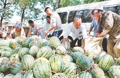 大城县吃瓜最新事件爆料,揭秘背后惊人真相  第3张