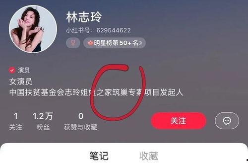 台媒爆料视频完整版,视频完整版事件内幕曝光  第1张