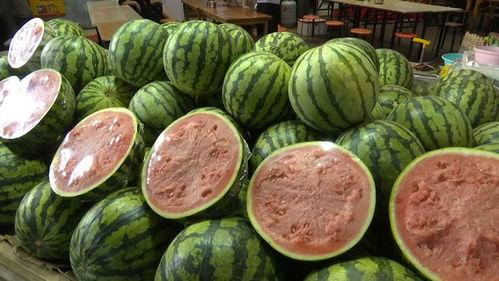 20年网红吃瓜总结 第2张 20年网红吃瓜总结 第2张