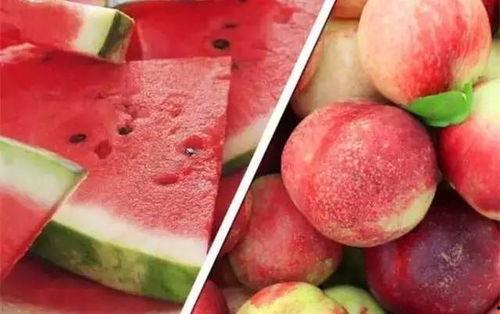 20年网红吃瓜总结 第3张 20年网红吃瓜总结 第3张