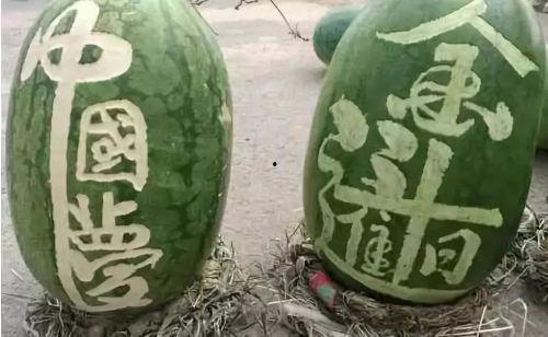 网红大爷吃瓜,一场别开生面的吃瓜盛宴 第2张 网红大爷吃瓜,一场别开生面的吃瓜盛宴 第2张