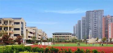 怀化学院爆料事件最新进展,真相逐步浮出水面  第1张