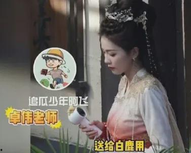 圈内最新爆料白鹿视频,圈内最新爆料揭秘  第2张