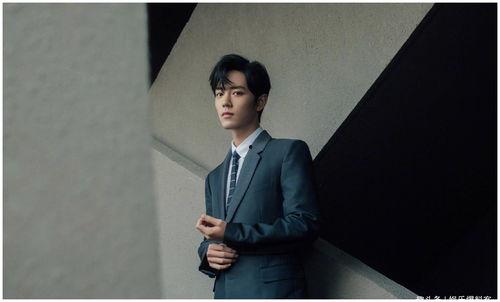 肖战粉丝娱乐爆料视频,揭秘明星幕后生活  第3张