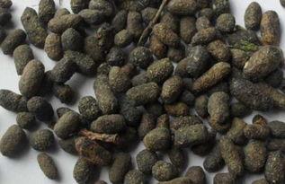 石家庄爆料老鼠屎事件最新,食品安全问题再敲警钟 第2张 石家庄爆料老鼠屎事件最新,食品安全问题再敲警钟 第2张